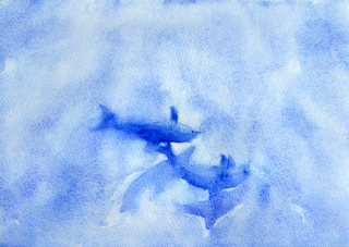 Dolphins