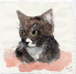 Puss