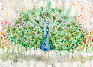 Colourful Peacock