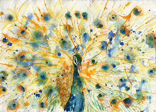 Wild Peacock