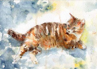 Tabby cat I met in Croatia