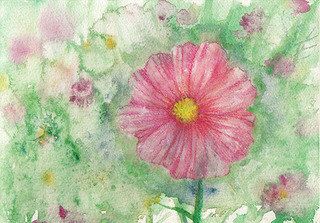 Cosmos