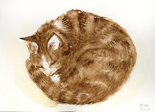 Nap
