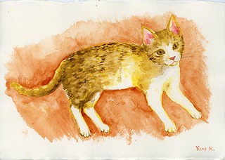 Tabby Kitty