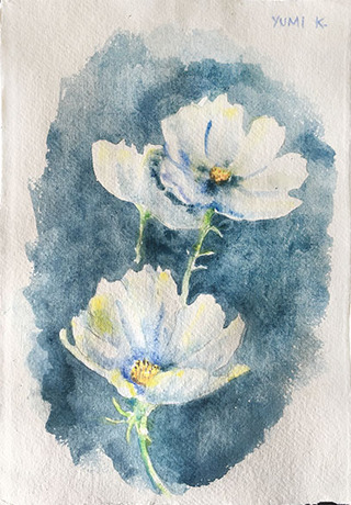 White cosmos