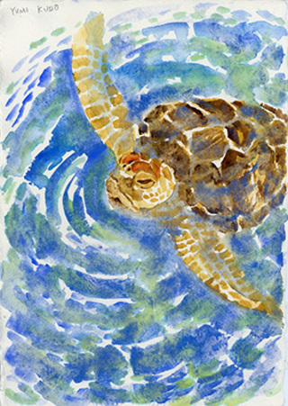 Sea Turtle